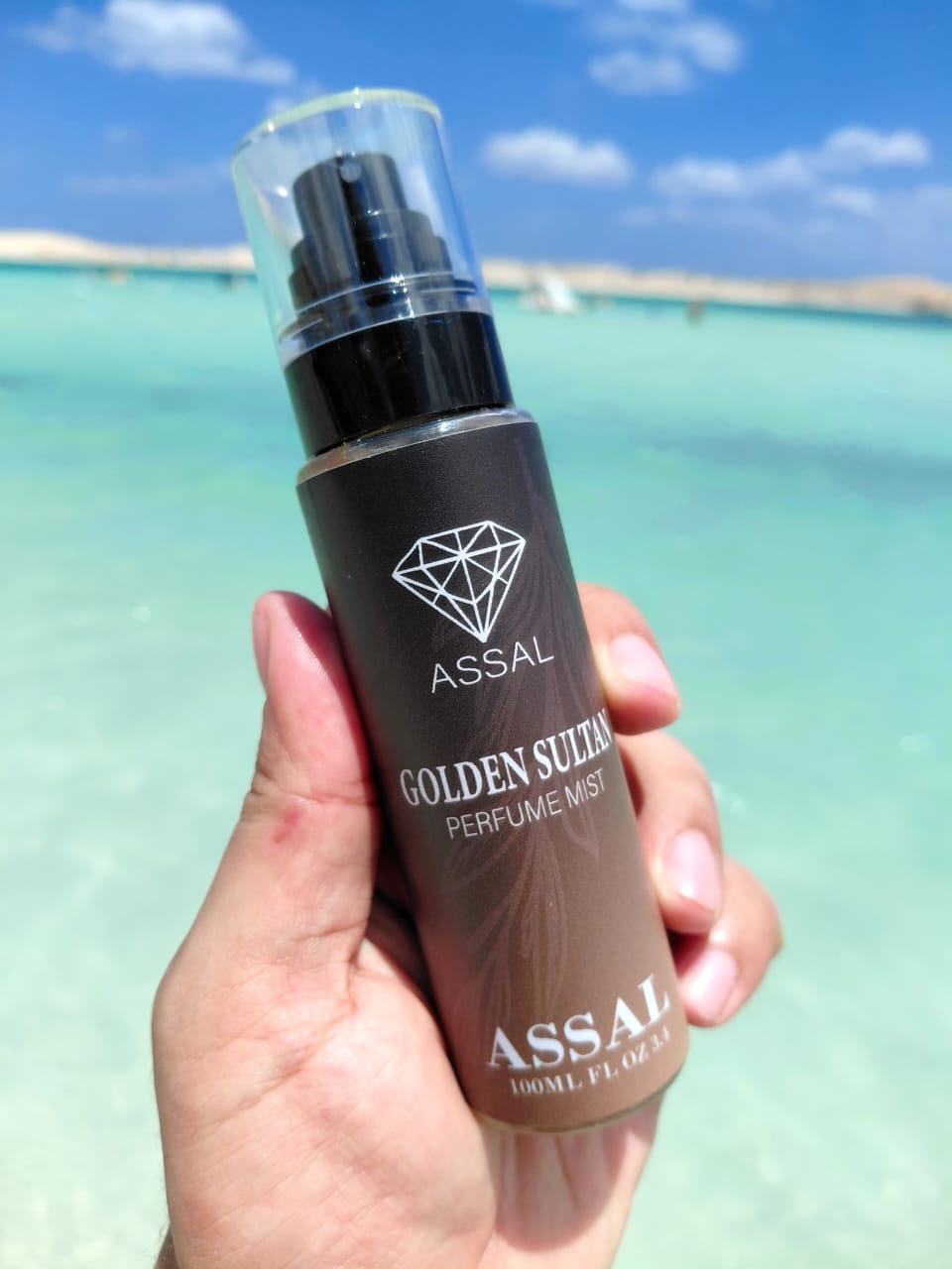 ASSAL brand visual